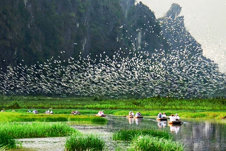 Parc ornithologique d’écotourisme de Thung Nham