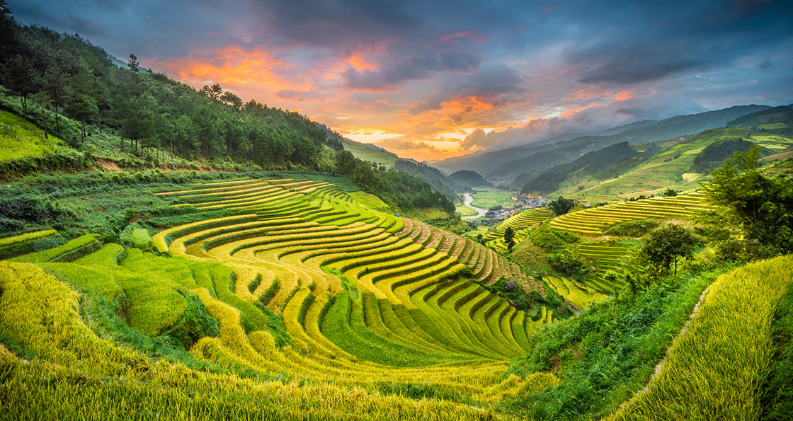 Mu Cang Chai Rice Terraces in Vietnam - Placeaholic