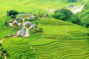 Beauté de la vallée de Muong Hoa
