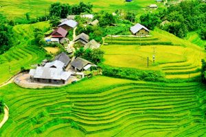 Conseils précieux pour le voyage dans la vallée de Muong Hoa Sapa